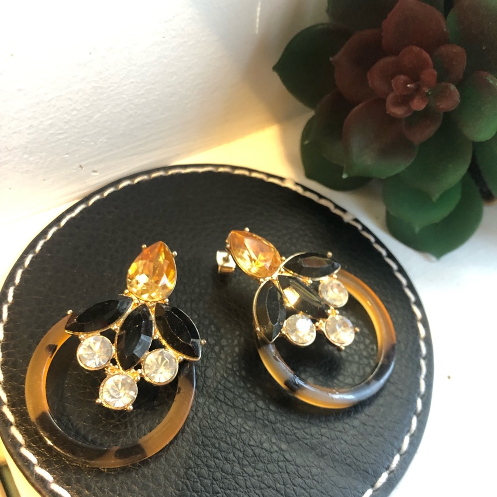 Jewel earrings